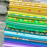 Rainbow Heather Ross Bundle