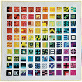 100 Modern Quilt Blocks Book by Tula Pink - City Sampler